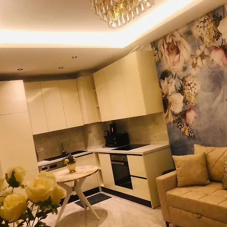 Apartament Saga