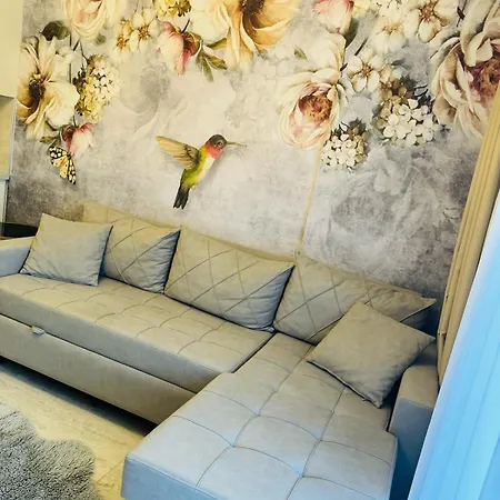 Saga Apartament *
